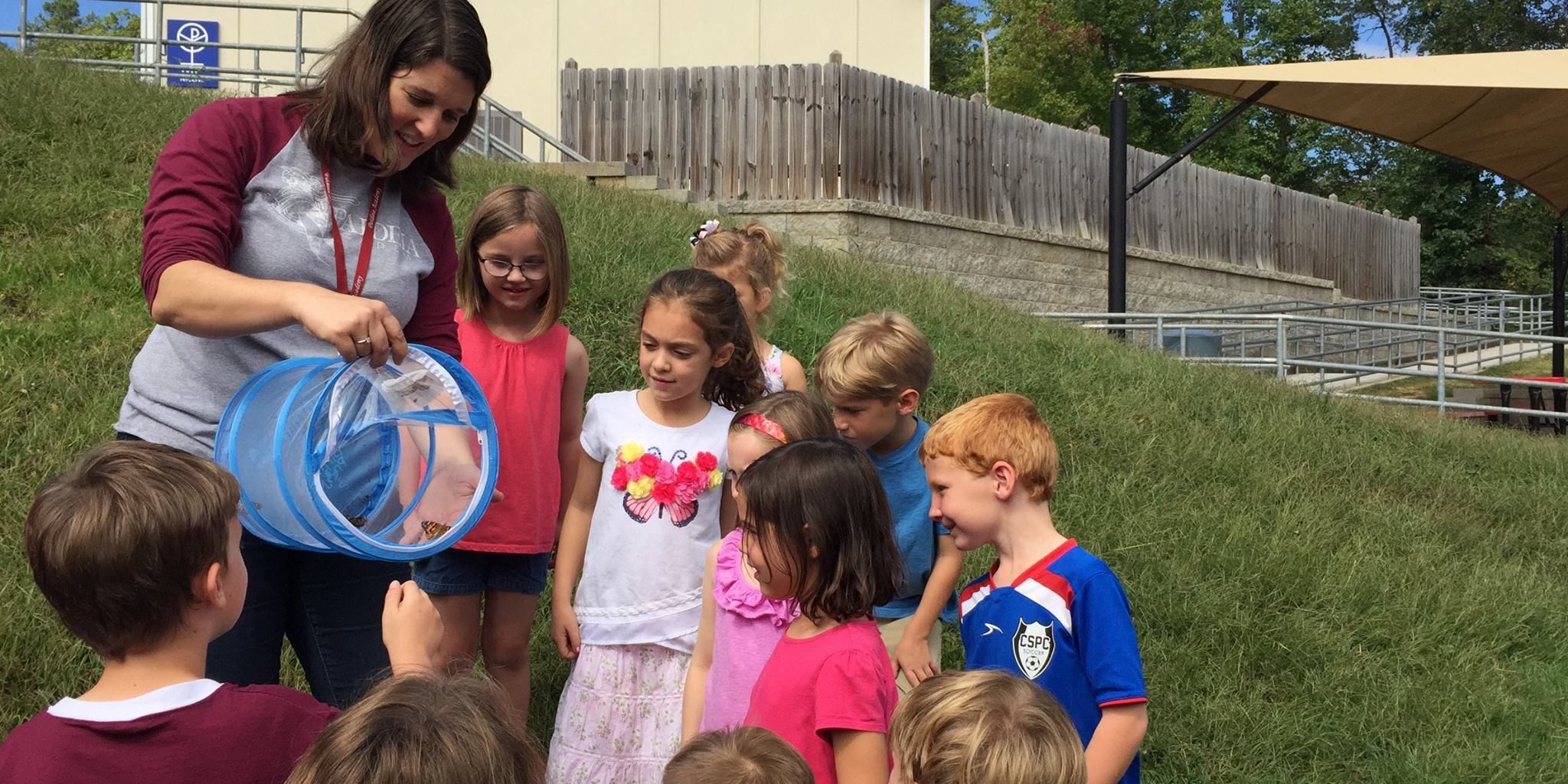butterflies Knoxville private christian school butterfly science nature