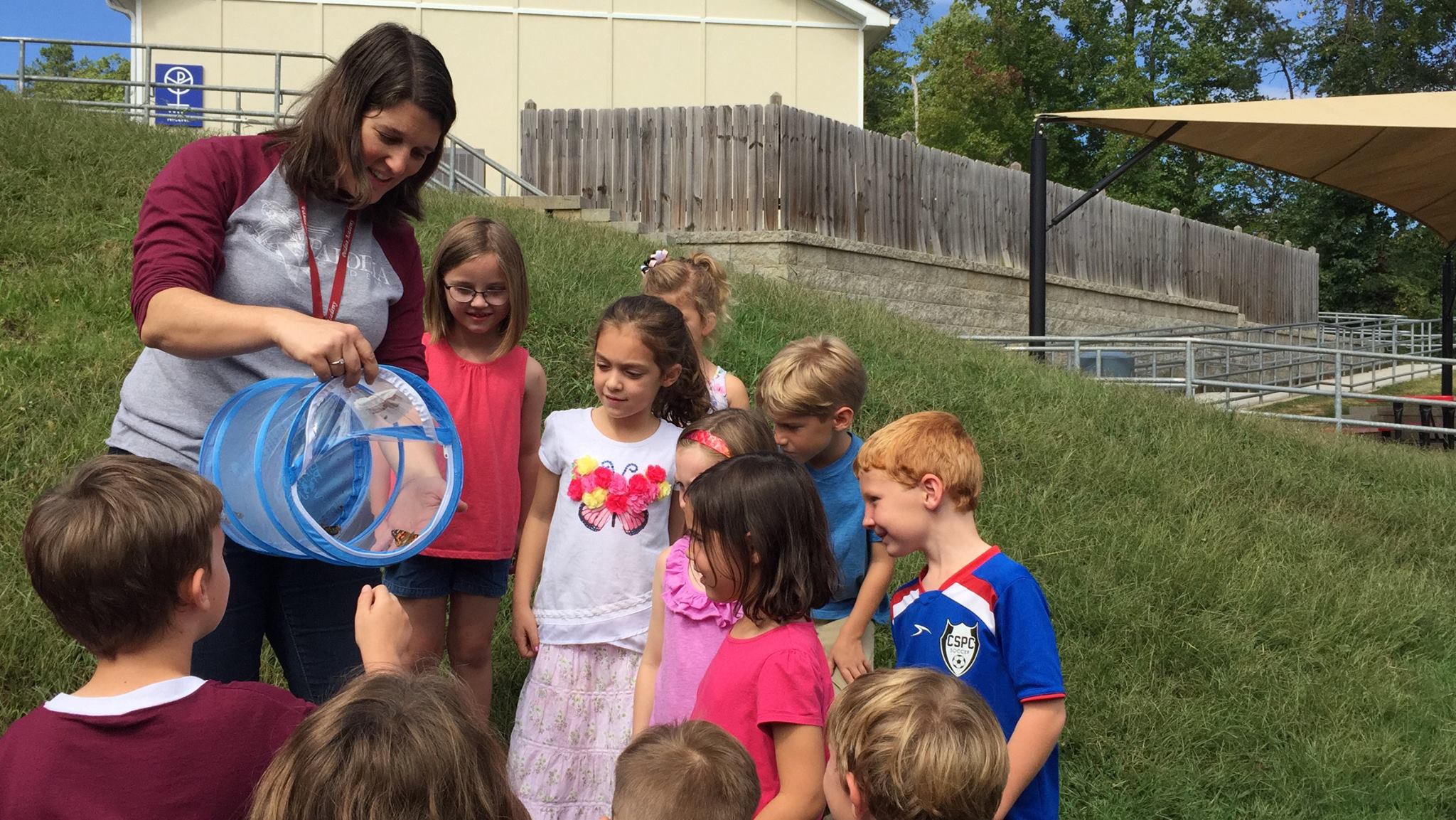 knoxville private christian school science butterfly